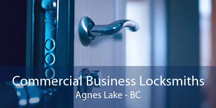Commercial Business Locksmiths Agnes Lake - BC