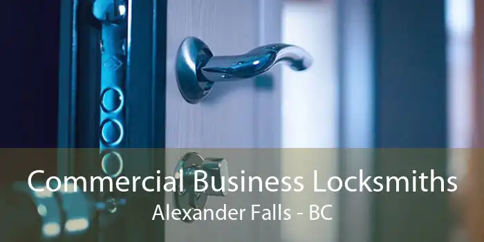 Commercial Business Locksmiths Alexander Falls - BC