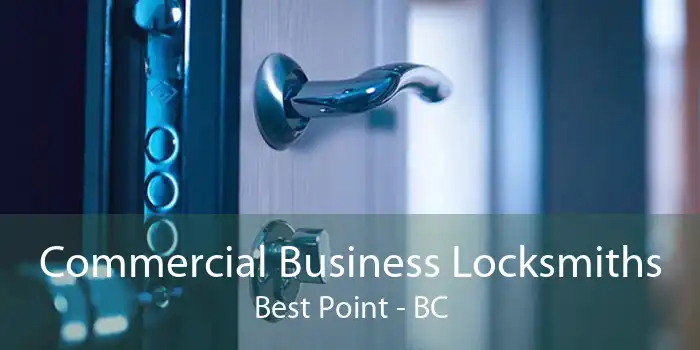Commercial Business Locksmiths Best Point - BC
