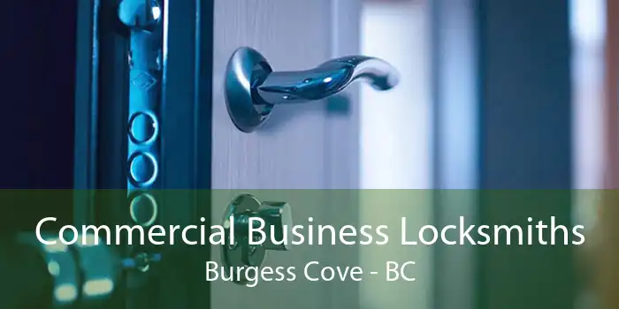 Commercial Business Locksmiths Burgess Cove - BC