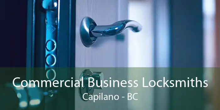 Commercial Business Locksmiths Capilano - BC