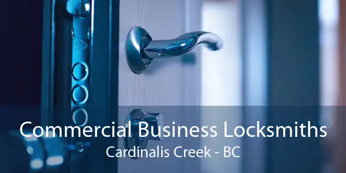 Commercial Business Locksmiths Cardinalis Creek - BC