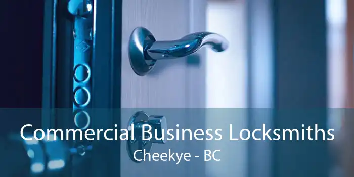 Commercial Business Locksmiths Cheekye - BC
