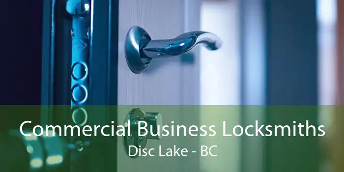 Commercial Business Locksmiths Disc Lake - BC