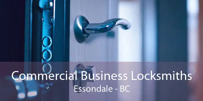 Commercial Business Locksmiths Essondale - BC