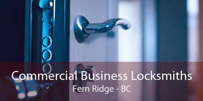 Commercial Business Locksmiths Fern Ridge - BC