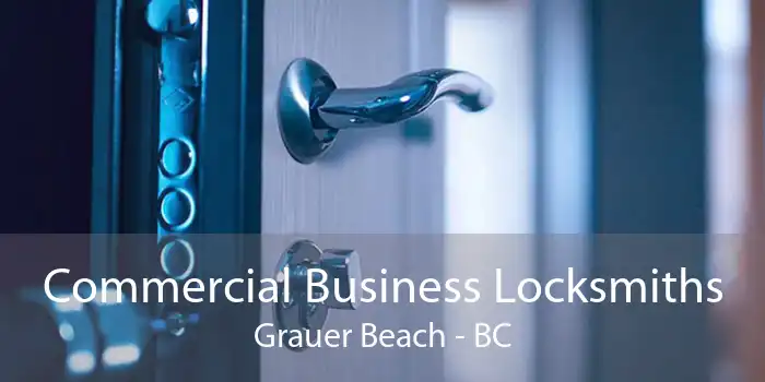 Commercial Business Locksmiths Grauer Beach - BC