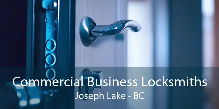 Commercial Business Locksmiths Joseph Lake - BC