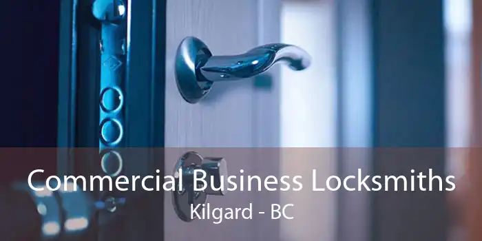 Commercial Business Locksmiths Kilgard - BC