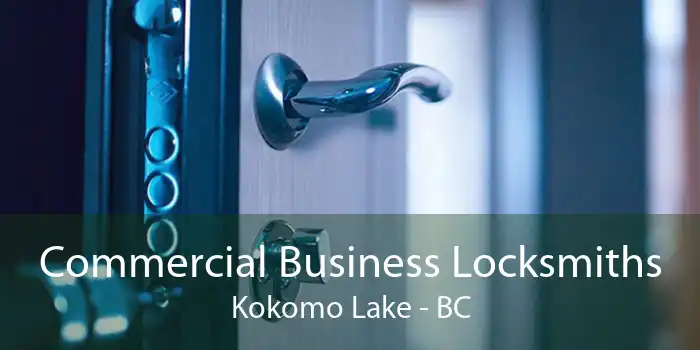 Commercial Business Locksmiths Kokomo Lake - BC