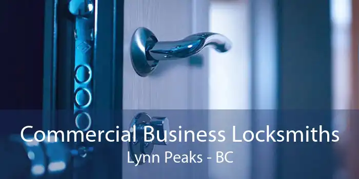 Commercial Business Locksmiths Lynn Peaks - BC