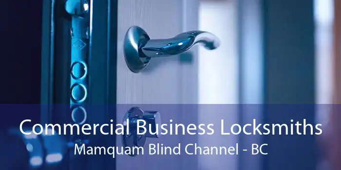Commercial Business Locksmiths Mamquam Blind Channel - BC