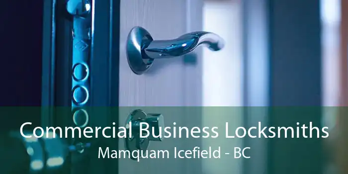 Commercial Business Locksmiths Mamquam Icefield - BC