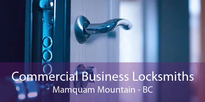 Commercial Business Locksmiths Mamquam Mountain - BC