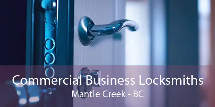 Commercial Business Locksmiths Mantle Creek - BC