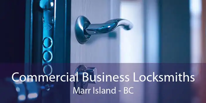 Commercial Business Locksmiths Marr Island - BC