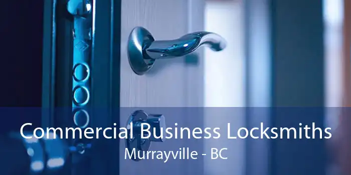 Commercial Business Locksmiths Murrayville - BC