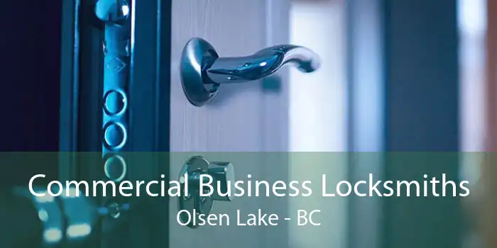 Commercial Business Locksmiths Olsen Lake - BC