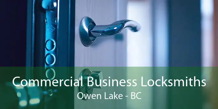 Commercial Business Locksmiths Owen Lake - BC