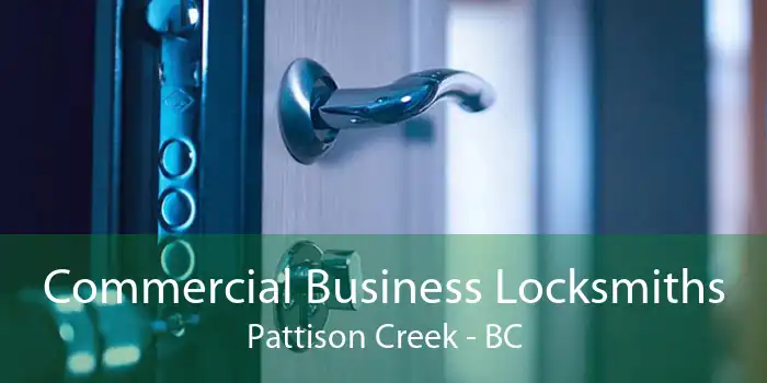 Commercial Business Locksmiths Pattison Creek - BC