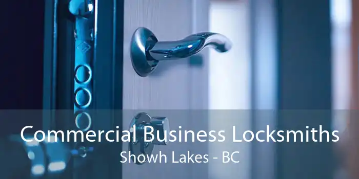 Commercial Business Locksmiths Showh Lakes - BC