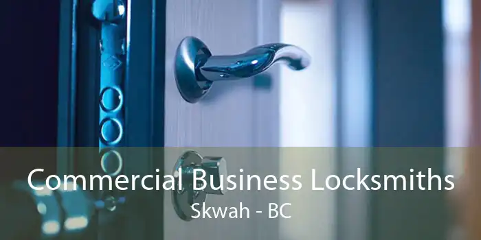 Commercial Business Locksmiths Skwah - BC