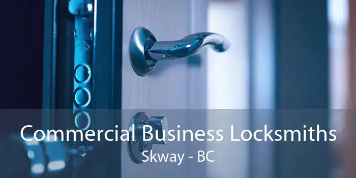 Commercial Business Locksmiths Skway - BC
