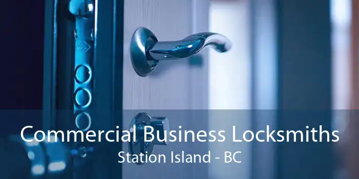 Commercial Business Locksmiths Station Island - BC