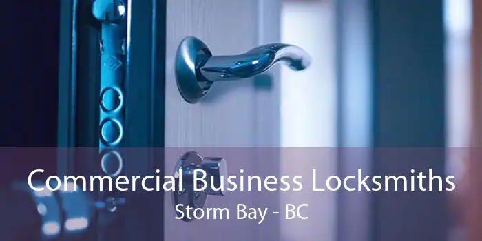 Commercial Business Locksmiths Storm Bay - BC
