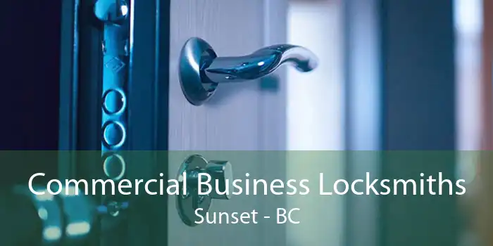Commercial Business Locksmiths Sunset - BC