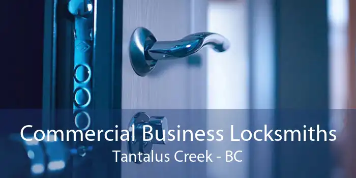 Commercial Business Locksmiths Tantalus Creek - BC