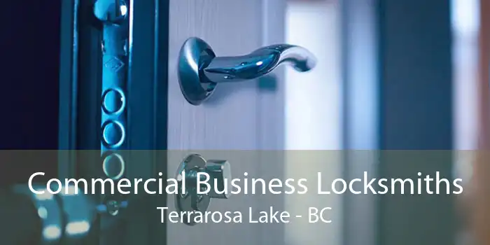 Commercial Business Locksmiths Terrarosa Lake - BC
