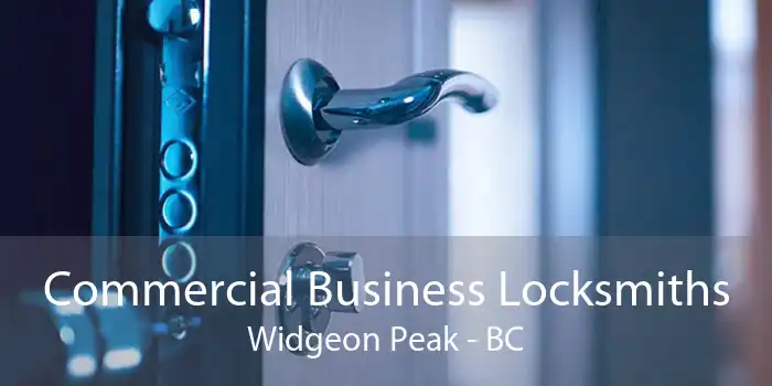 Commercial Business Locksmiths Widgeon Peak - BC
