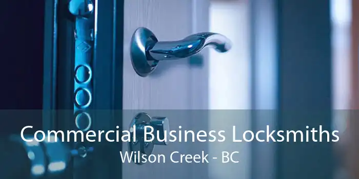 Commercial Business Locksmiths Wilson Creek - BC