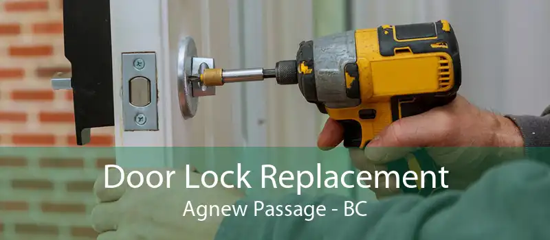 Door Lock Replacement Agnew Passage - BC