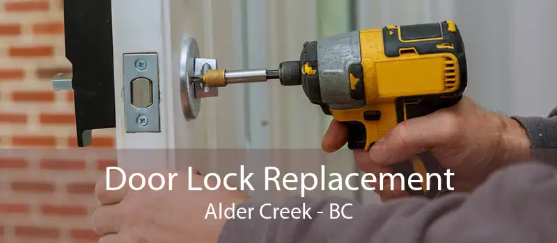 Door Lock Replacement Alder Creek - BC