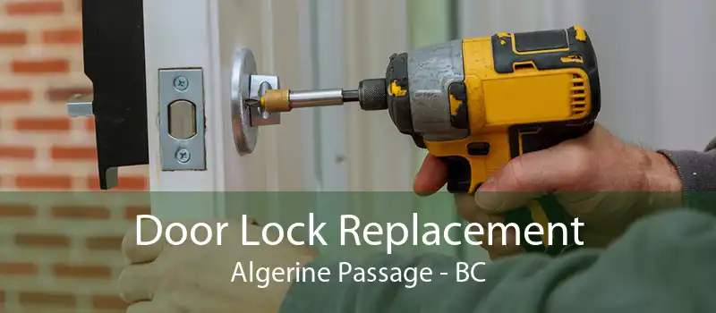 Door Lock Replacement Algerine Passage - BC