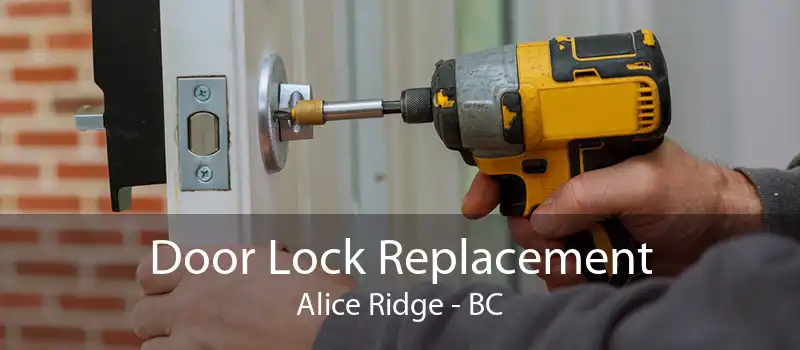 Door Lock Replacement Alice Ridge - BC