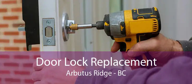 Door Lock Replacement Arbutus Ridge - BC