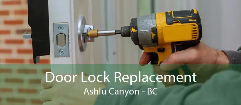 Door Lock Replacement Ashlu Canyon - BC