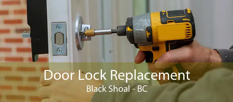 Door Lock Replacement Black Shoal - BC