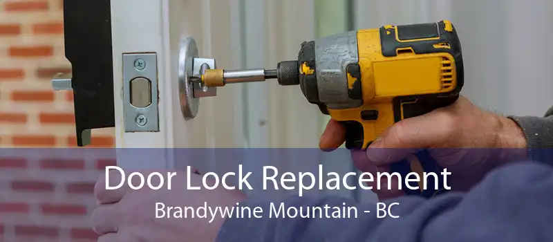 Door Lock Replacement Brandywine Mountain - BC