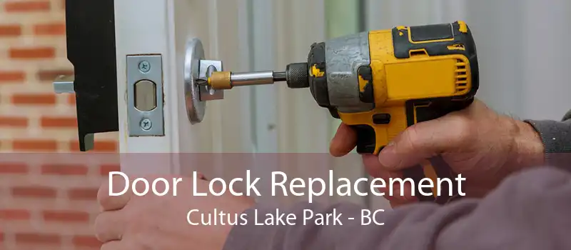 Door Lock Replacement Cultus Lake Park - BC