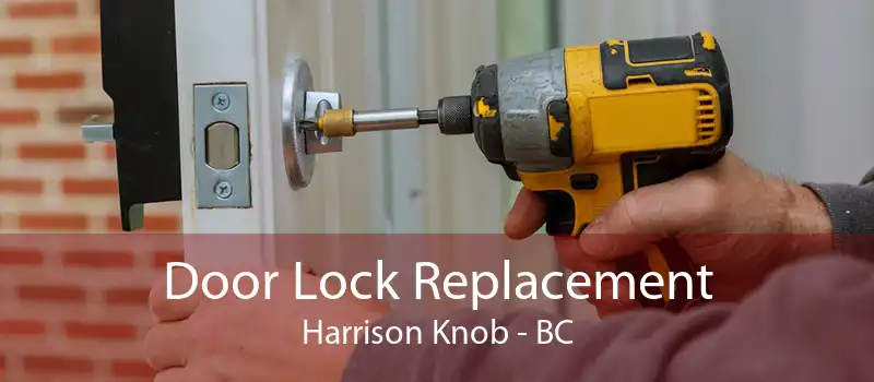 Door Lock Replacement Harrison Knob - BC