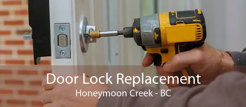Door Lock Replacement Honeymoon Creek - BC