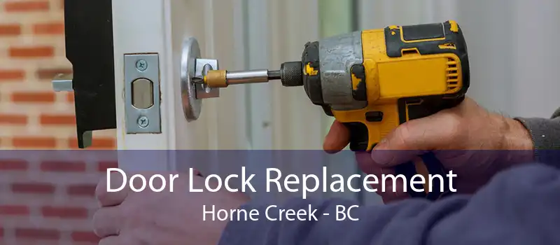 Door Lock Replacement Horne Creek - BC