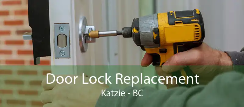 Door Lock Replacement Katzie - BC