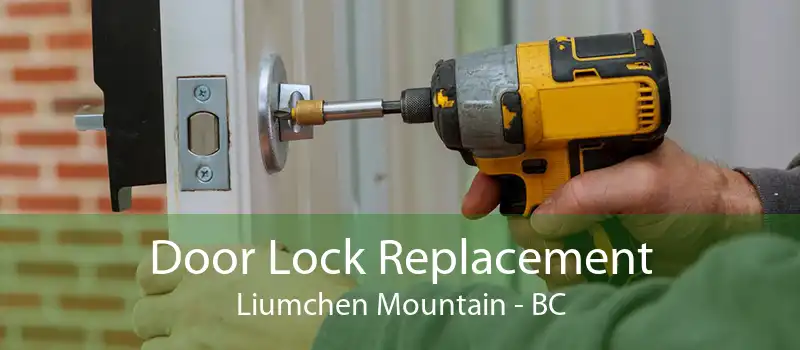 Door Lock Replacement Liumchen Mountain - BC