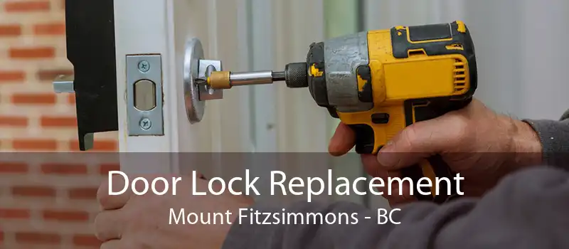 Door Lock Replacement Mount Fitzsimmons - BC