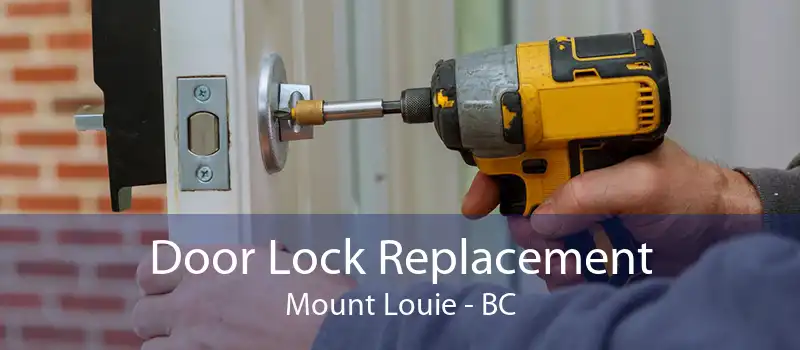 Door Lock Replacement Mount Louie - BC